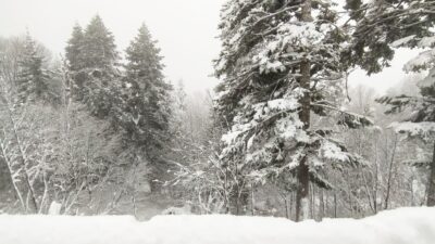 Uludağ sonunda ‘beyaz gelinliğini’ giydi
