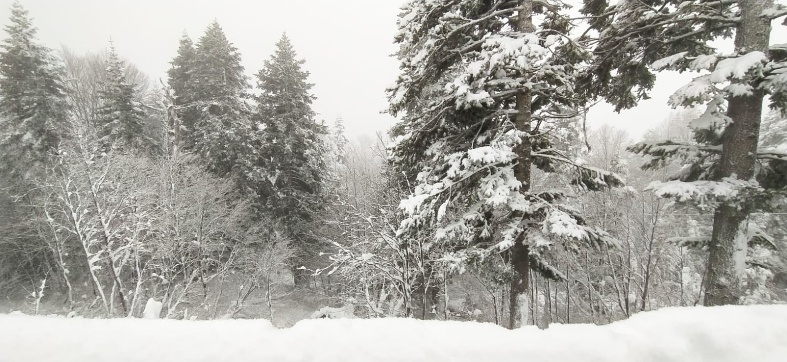Uludağ sonunda ‘beyaz gelinliğini’ giydi