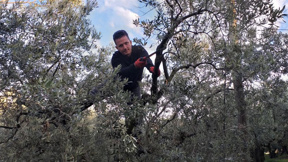 Bursa’da aktarda kilosu 100 lira, bahçede bedava