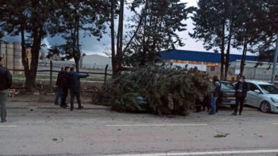 Yer: Bursa… Otomobilin üzerine ağaç devrildi