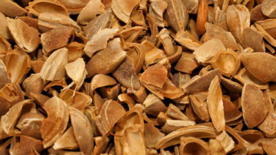 “Günde 10 tane yediğimizde…”