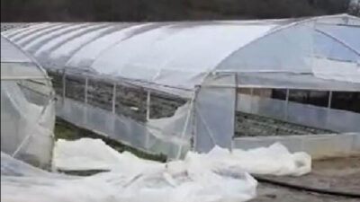 İnegöl’de fırtına seraları yıktı