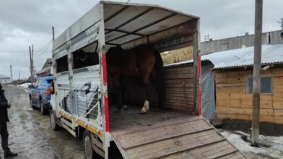 JASAT at hırsızlarının peşinde: 7 gözaltı