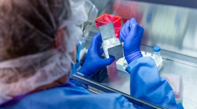 İşte mutasyonlu virüsün görüldüğü iki il İşte mutasyonlu virüsün görüldüğü iki il