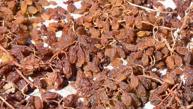 Ege’de tarım ihracatı 5 milyar doları aştı