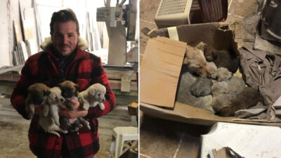 Bursa’da sokak köpeği ile 6 yavrusunu donmaktan kurtarıp sahiplendi