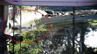 Gölet ortasında böyle bulundu! Ekipler hemen harekete geçti