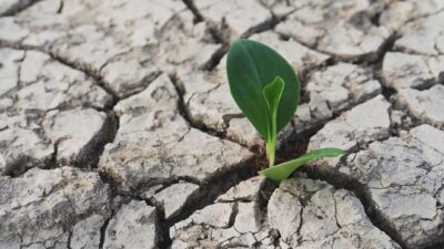 Meteoroloji’den 2020 için kuraklık raporu: Hangi ilde rekor kırıldı, yağışlar ne kadar azaldı?