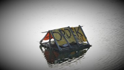 Görüntüler Bursa’dan… Kuş cennetine çevirdiler