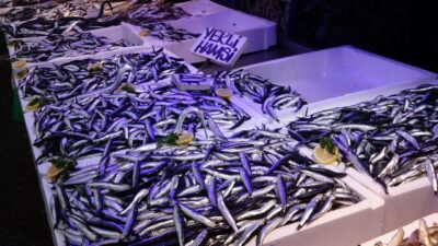 Sıcak havalar ‘hamsi’yi kaçırdı, fiyatlar arttı