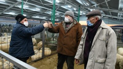 Hayvan pazarında üreticilerin yüzü gülüyor