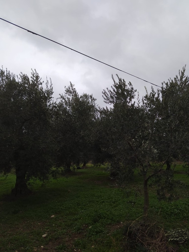 Bursa’da pes dedirten hırsızlık! Şimdi de…