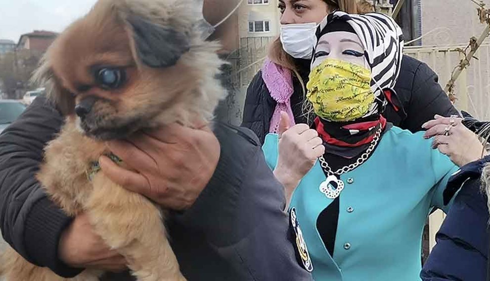 3. kez basıldı! Cezası belli oldu