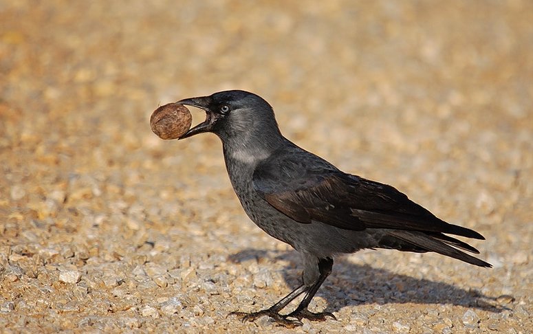 92 yaşında nasıl dinç kalınır? İŞTE FORMÜLÜ…