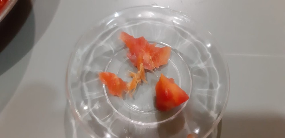 Bursa’da akıllara durgunluk veren olay! Domatesin içinden çıkanı görünce şok oldu Bursa’da akıllara durgunluk veren olay! Domatesin içinden çıkanı görünce şok oldu