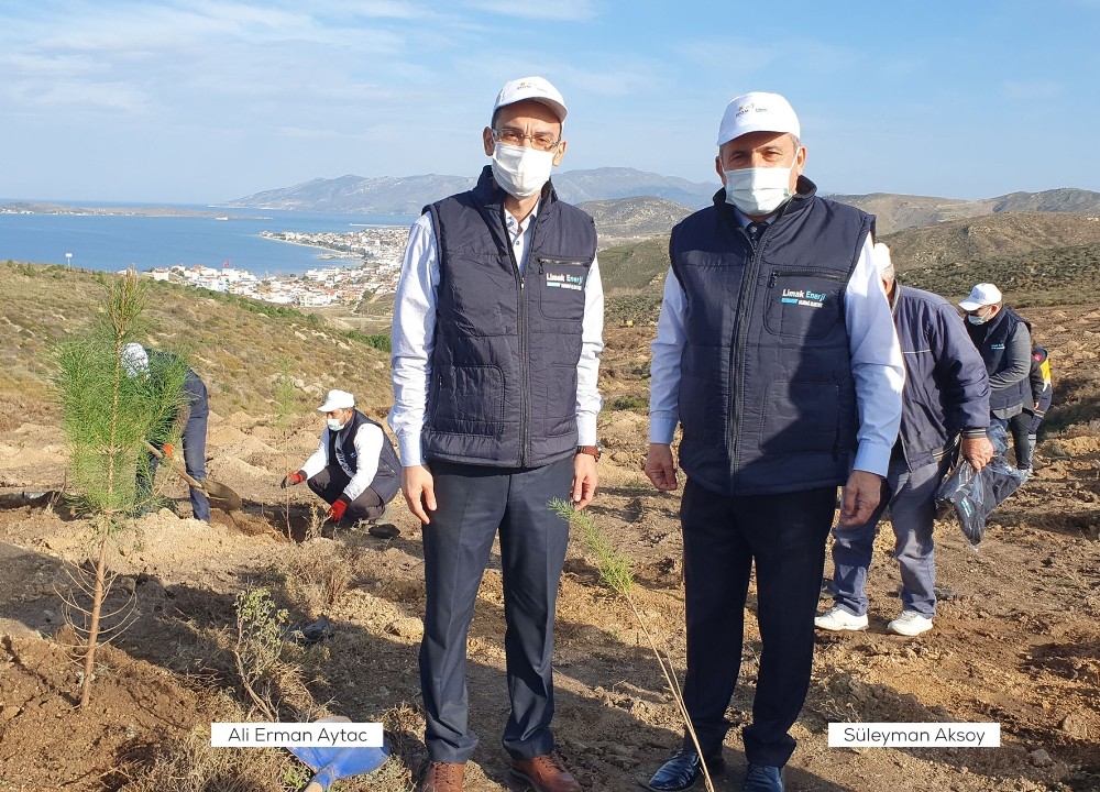Limak Enerji Balıkesir’i ağaçlandıracak