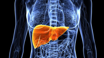 Karaciğeri hızla yeniliyor! İşte en etkili besin…