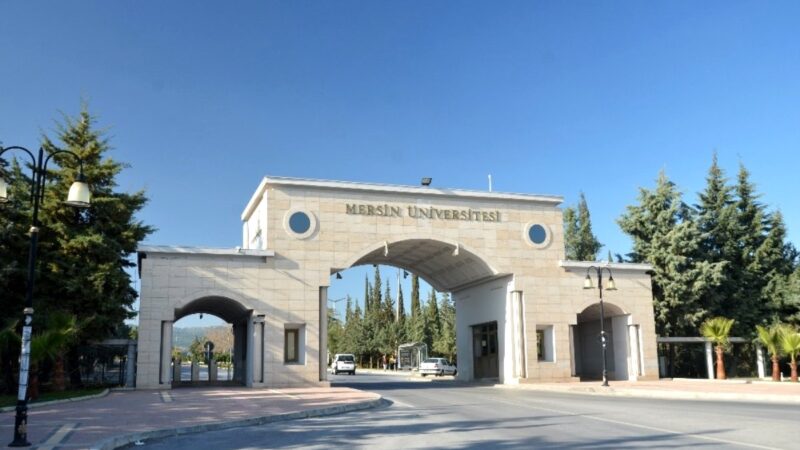 Mersin Üniversitesi 12 sözleşmeli personel alacak...