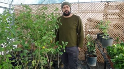 Kuraklık bitkilerin kimyasını da değiştirdi