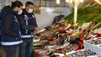 Balon balığı alarmı: 1 kişi hayatını kaybetti