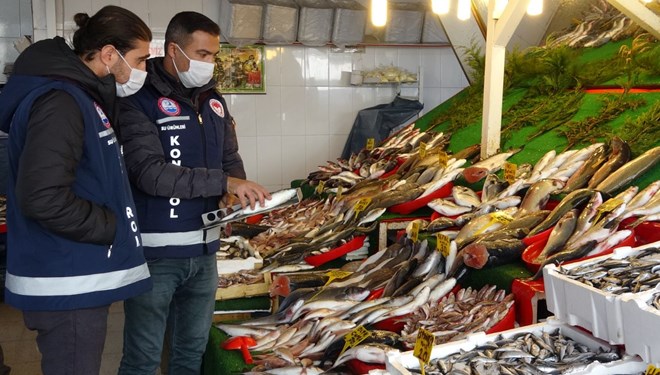 Balon balığı alarmı: 1 kişi hayatını kaybetti