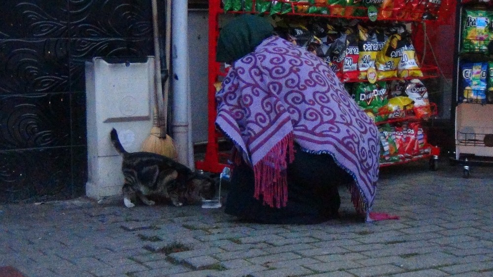 Bursa’da soğuk havada iç ısıtan görüntü