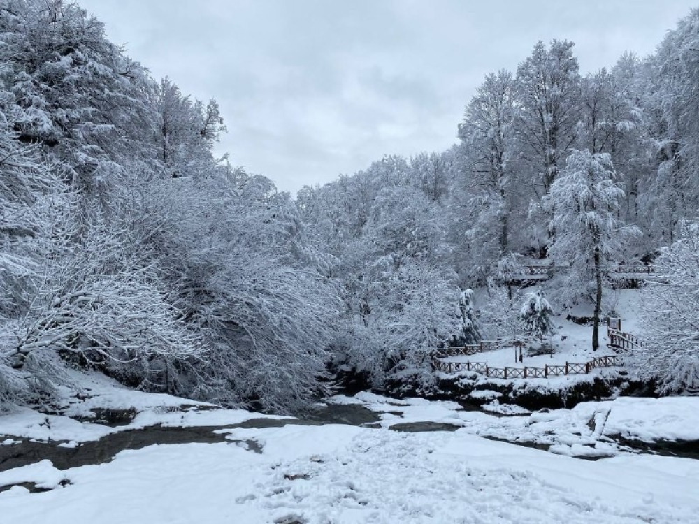 Suuçtu Şelalesi beyaza büründü, drone görüntüsü büyüledi