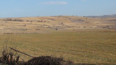 Bursalı çiftçi dertli! Daha şimdiden yüzde 40 fire var…