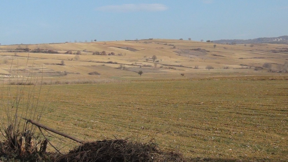 Bursalı çiftçi dertli! Daha şimdiden yüzde 40 fire var…