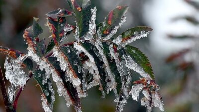 Meteoroloji’den Bursa için bir uyarı daha