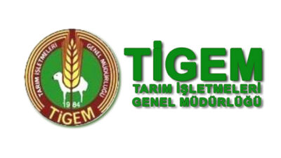 Karacabey TİGEM’den işçilik hizmeti alımı…