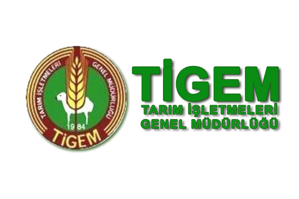 Karacabey TİGEM’den işçilik hizmeti alımı… Karacabey TİGEM’den işçilik hizmeti alımı…