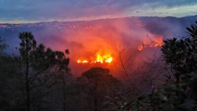 Trabzon’da 2 ilçede örtü ve orman yangını