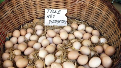 Yumurtanın fiyatı 50 liraya gidiyor