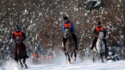 Uludağ’ın eteklerinde dörtnala özgürlük…