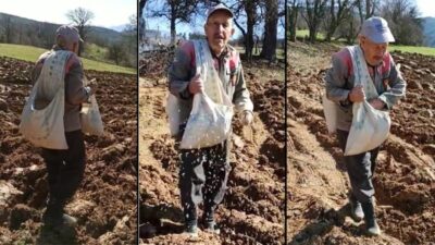 İhtiyar delikanlı traktör kullanmadan çiftçilik yapıyor
