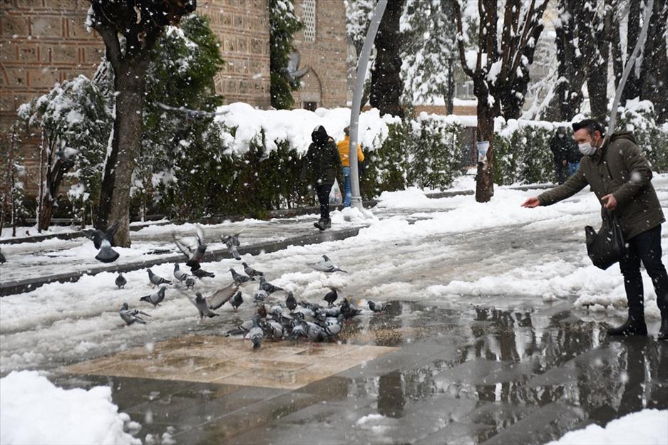 İnegöl Belediyesi sokak hayvanlarını yalnız bırakmıyor İnegöl Belediyesi sokak hayvanlarını yalnız bırakmıyor