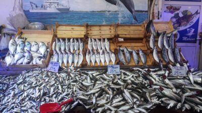 Hamsi yasağı kalktı, tezgahta fiyatı belli oldu