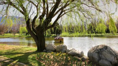 Botanik Park’a gidecekler dikkat! 15 gün süreyle…