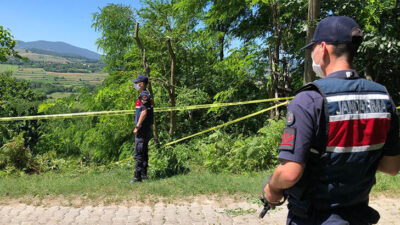 Budanan ağaç için kardeşini ve yeğenini öldürmüştü! İstenen ceza belli oldu