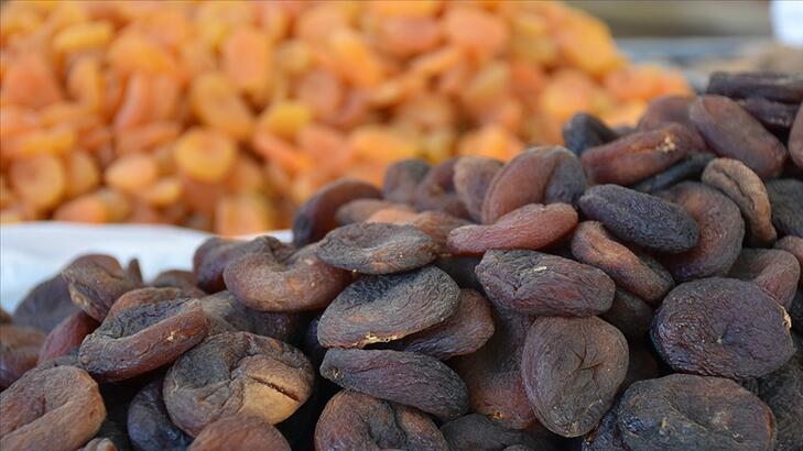 Kuru kayısıdan 22 milyon dolarlık ihracat geliri elde edildi