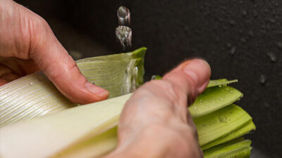 Uykusuzluğu kökünden çözüyor!