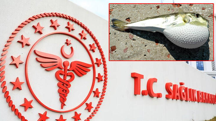 Sağlık Bakanlığı balon balığı iddiaları sonrası harekete geçti