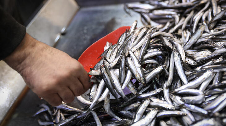 Kar sonrası hamsi fiyatları fırladı