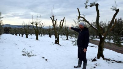 Bursalı çiftçiye ‘yalancı bahar’ darbesi