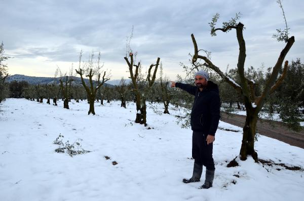 Bursalı çiftçiye ‘yalancı bahar’ darbesi