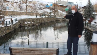 Görenleri şaşkına çeviriyor! Köylülere göre kutsal…