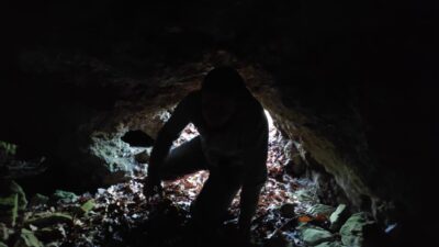 Bursa’da çobanın ‘gizemli’ keşfi! Koyun otlatırken buldu duyduğu sesleri unutamıyor…