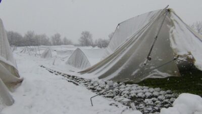 Yer: Bursa… Kar kütlelerinin ağırlığına dayanamayıp çöktüler
