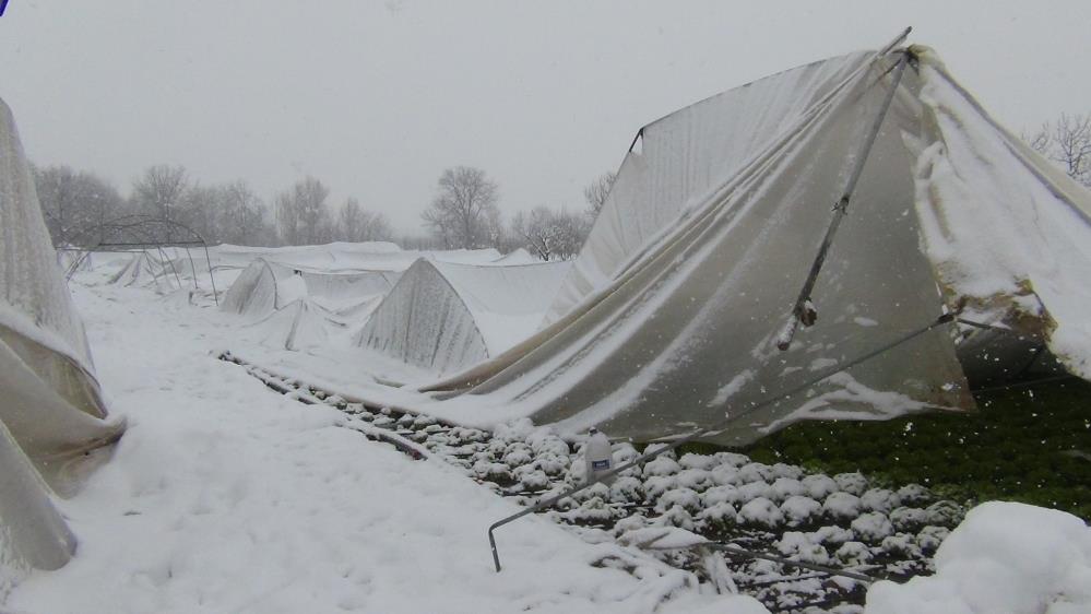 Yer: Bursa… Kar kütlelerinin ağırlığına dayanamayıp çöktüler
